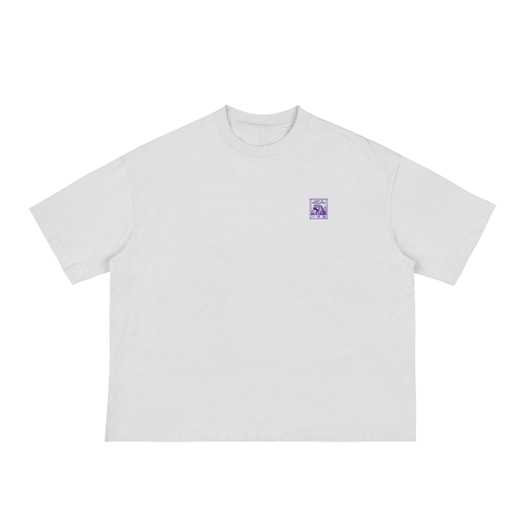 boxy,tee,graphic,oversize,streetwear,clothe,clothes,venezuela,venezuelan,missing,home,homesick