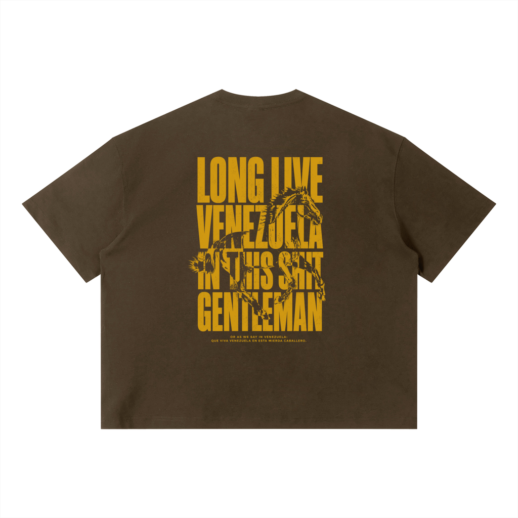 LongLiveVenezuela