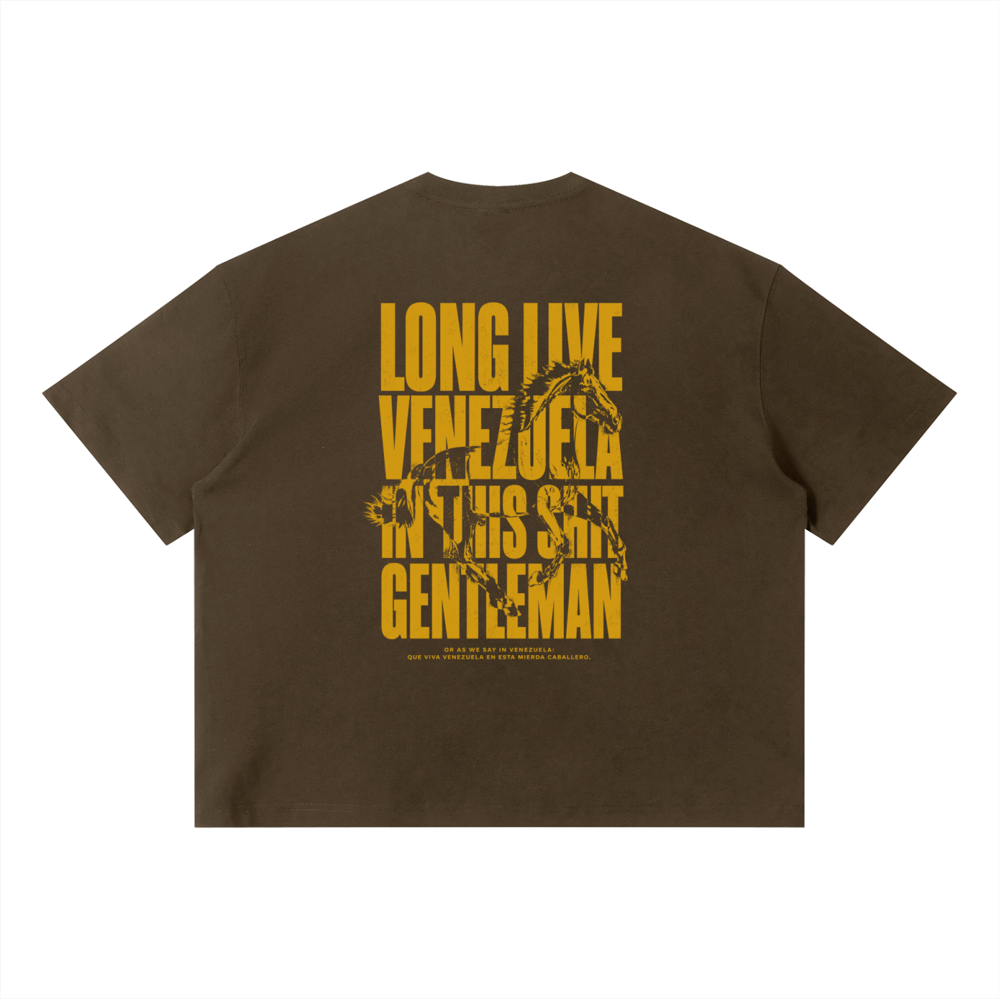 LongLiveVenezuela
