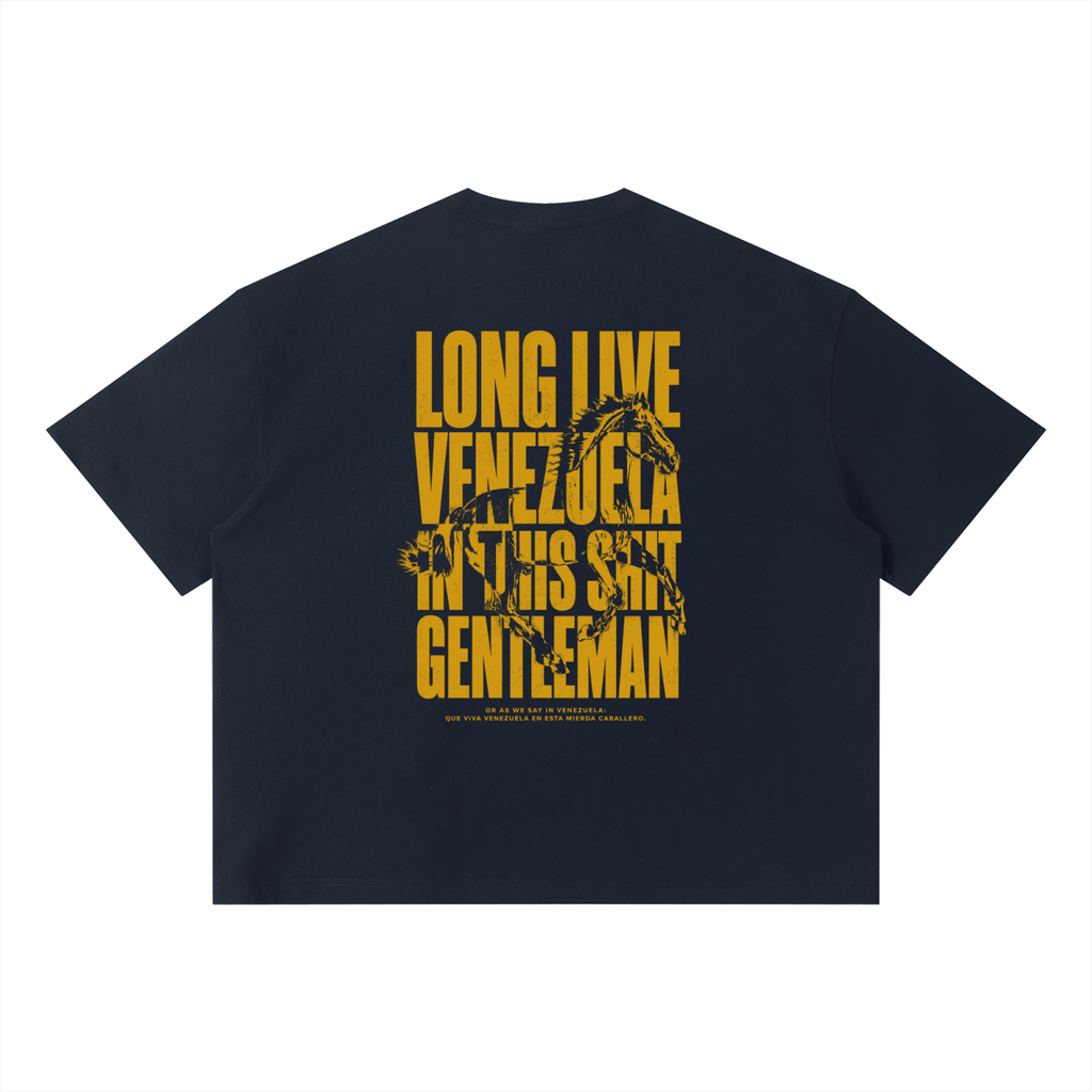 LongLiveVenezuela