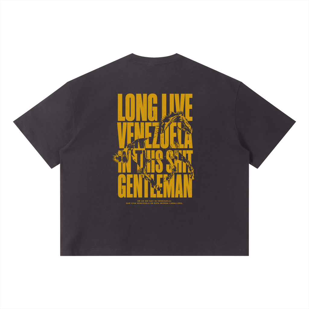 LongLiveVenezuela