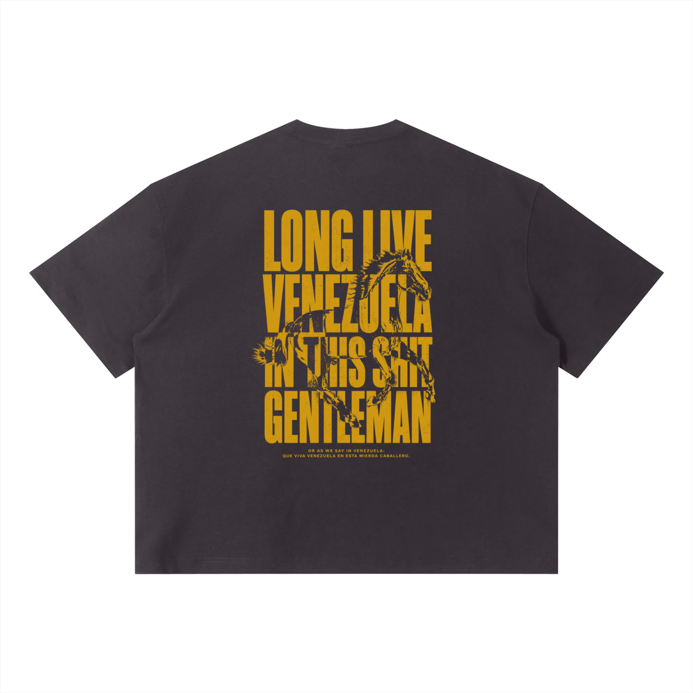 LongLiveVenezuela