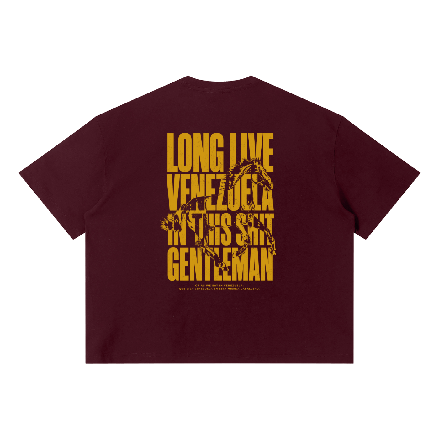 LongLiveVenezuela